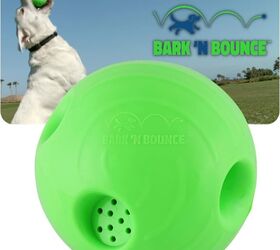 young or old these outdoor toys are perfect for dog park action