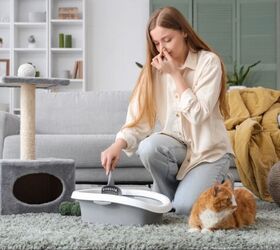 There s a New and Clever Litter Box on Kickstarter Right Now PetGuide