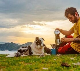 Hiking on the Agenda? Check Out These Easy-Pack Snacks for Dogs.