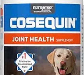 what are symptoms of arthritis in dogs