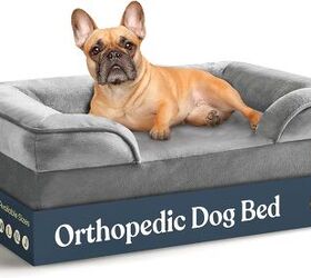 what are symptoms of arthritis in dogs