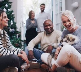 What Should I Do If My Dog Is Anxious Around Holiday Guests?