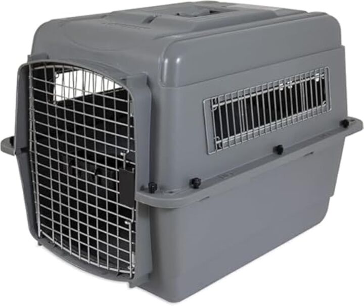 Illustration of Dog Travel By Air Domestic