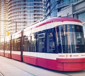 Streetcar Riders Work Together To Save a Cat in Toronto