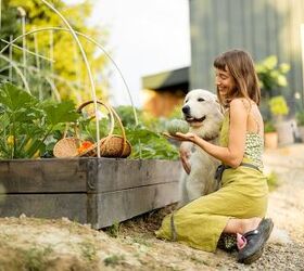 5 Ways To Be a More Sustainable Pet Owner