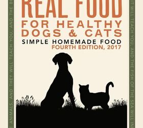 what are the risks of raw dog food