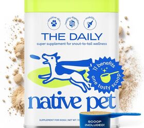 what are the risks of raw dog food