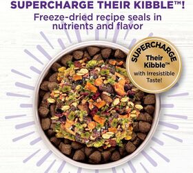 what s the scoop on dog food toppers