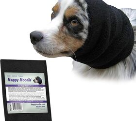 Picture of Dog Skittish Around Loud Noise? Sound Cancelling Headgear Works! | PetGuide