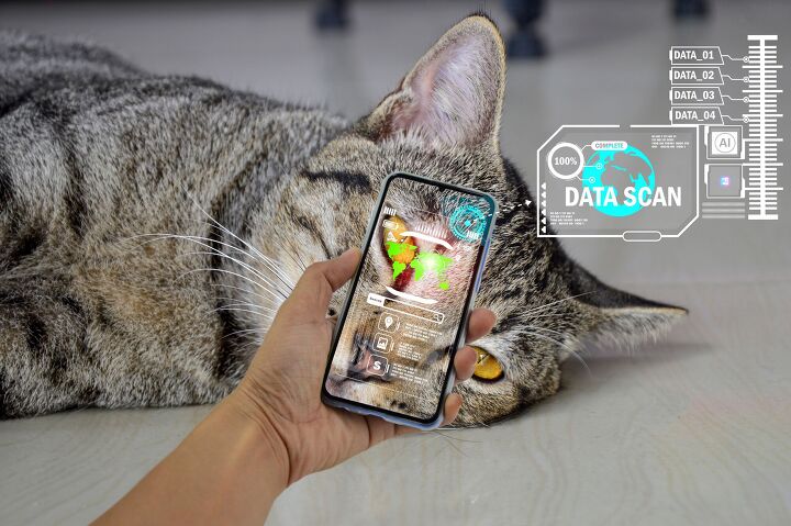 Pet Tech CES 2025 Included Some Really Cool Pet Tech | PetGuide