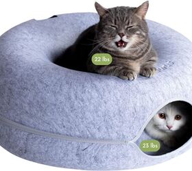 here s why your cat needs a cozy cat cave