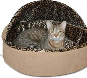here s why your cat needs a cozy cat cave