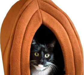 here s why your cat needs a cozy cat cave