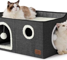 here s why your cat needs a cozy cat cave