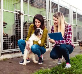 Arizona Humane Society Supports Shelters Affected by California Fires