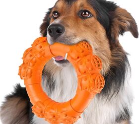 Image showcasing Top 10 Dog Toys For Aggressive Chewers | PetGuide
