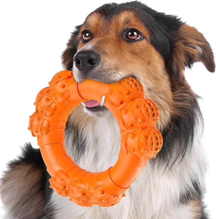 Top 10 Dog Toys For Aggressive Chewers | PetGuide