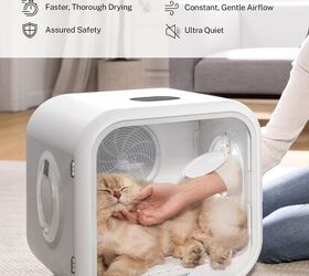 are the new pet dryer boxes right for your pet