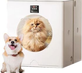 are the new pet dryer boxes right for your pet