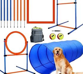 how to prevent dog boredom