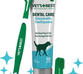 easy ways to take care of your dogs teeth