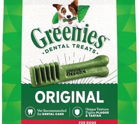 easy ways to take care of your dogs teeth