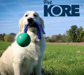 Meet PetKORE™: Durable Toys & Grooming Gear for Pets of All Sizes