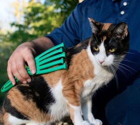 meet petkore durable toys grooming gear for pets of all sizes
