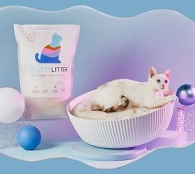 prettylitter the color changing litter cat parents swear by