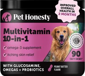What is pica in dogs petguide