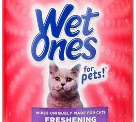 symptoms of seasonal allergies in cats