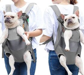 front load dog carriers keep him in on all the action