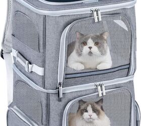 camping with cats really is that easy