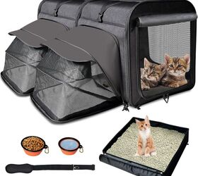 camping with cats really is that easy
