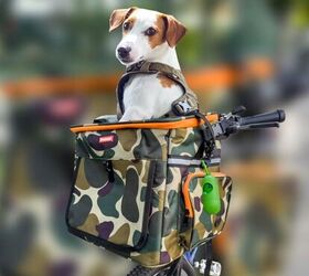 trendy new bicycle baskets are the new backpack for pets