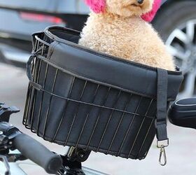 trendy new bicycle baskets are the new backpack for pets