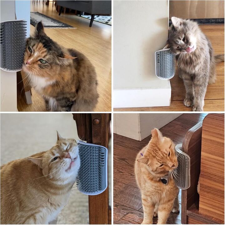 Grooming Tools for that Self-Sufficient Feline | PetGuide