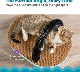 grooming tools for that self sufficient feline