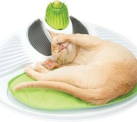 grooming tools for that self sufficient feline