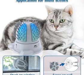 grooming tools for that self sufficient feline