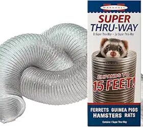 do ferrets make good pets