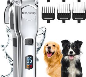 dog breeds with high maintenance grooming needs