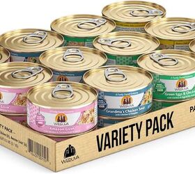 is your cat a picky eater things to consider about their food