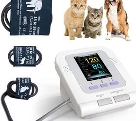 high blood pressure in cats causes symptoms treatments