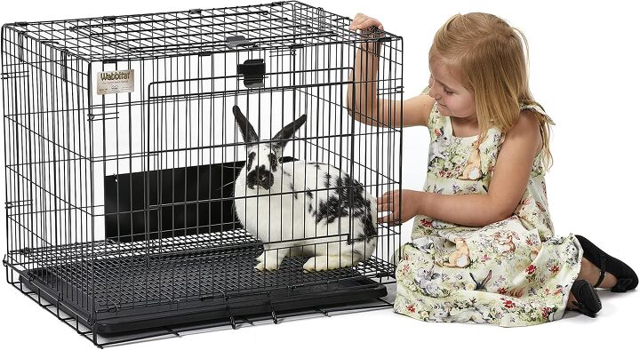How Often Should You Clean a Rabbit’s Cage? | PetGuide