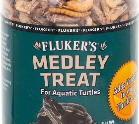 what are signs of illness in pet turtles