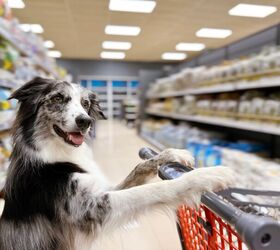 Pet Ownership Costs Expected to Rise