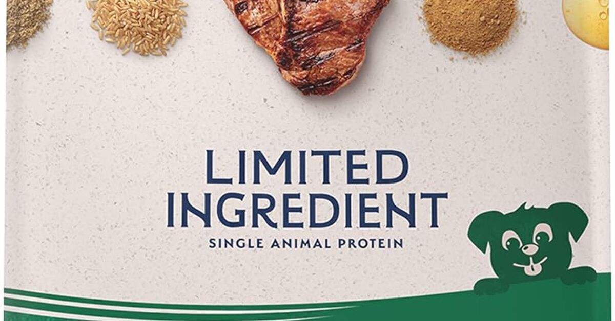 Are Grain-Free Diets Good for Dogs? | PetGuide