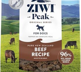 are grain free diets good for dogs