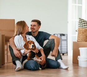 How to Help a Pet Adjust After Moving to a New Home